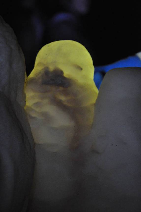 Esqueleto de morcego preso em estalagmite translúcida, na parte inferior da caverna em Carlsbad Caverns National Park, no sul do Novo México, nos Estados Unidos